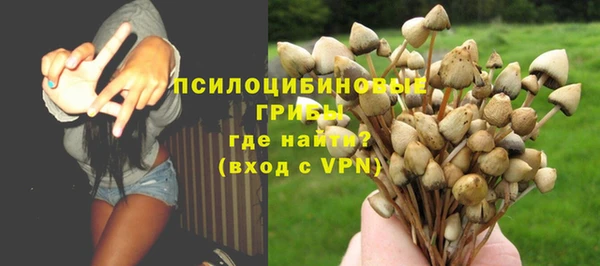 apvp Богородицк