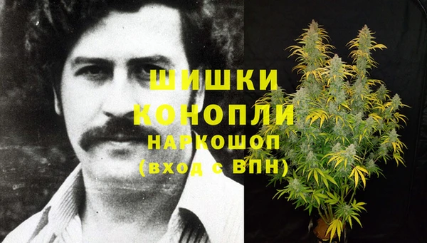 марки lsd Белокуриха
