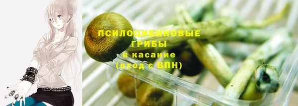 синтетический гашиш Богородск